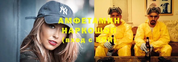 дурь Инта