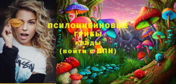 соль ск Инсар