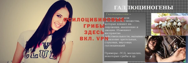 соль ск Инсар