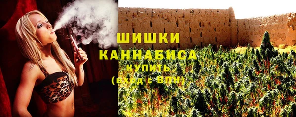 соль ск Инсар