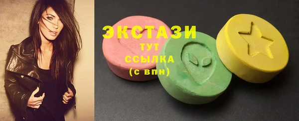 соль ск Инсар