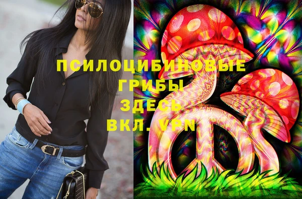 соль ск Инсар