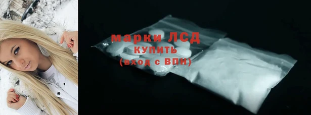 соль ск Инсар