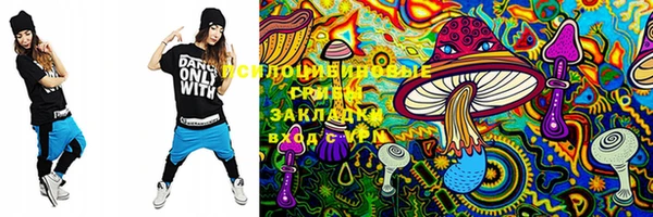mix Иннополис