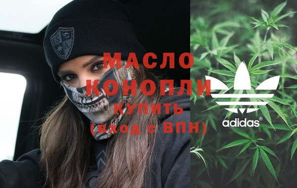 соль ск Инсар