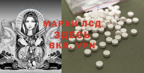 дурь Инта