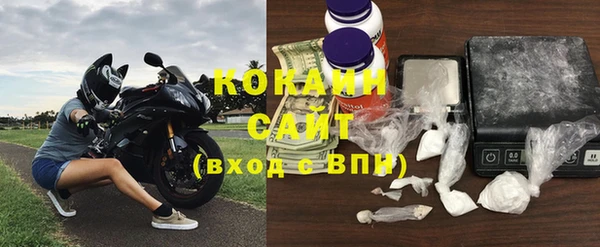 дурь Инта