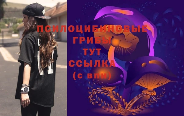 дурь Инта