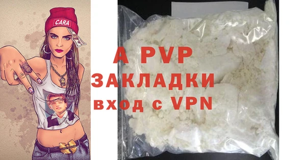 соль ск Инсар