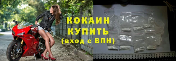 дурь Инта