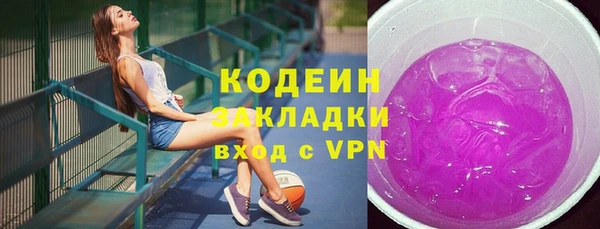 соль ск Инсар