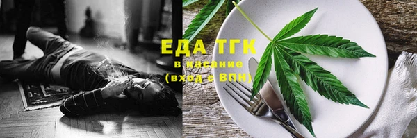 соль ск Инсар