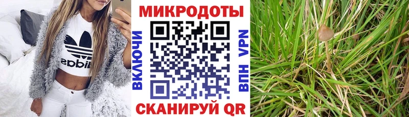 гидра как войти даркнет официальный сайт Галлюциногенные грибы Psilocybine cubensis Сосновоборск