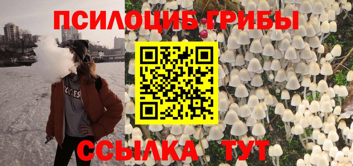 Галлюциногенные грибы ЛСД  хочу наркоту  Сосновоборск  Галлюциногенные грибы мицелий 
