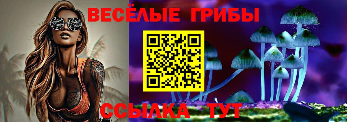 Галлюциногенные грибы Cubensis Сосновоборск